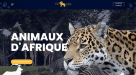 Capture d’écran 2021-04-16 à 13.52.25