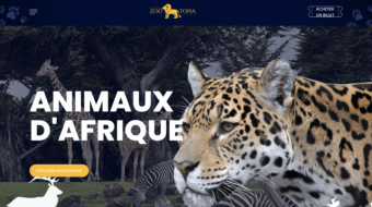 Capture d’écran 2021-04-16 à 13.52.25