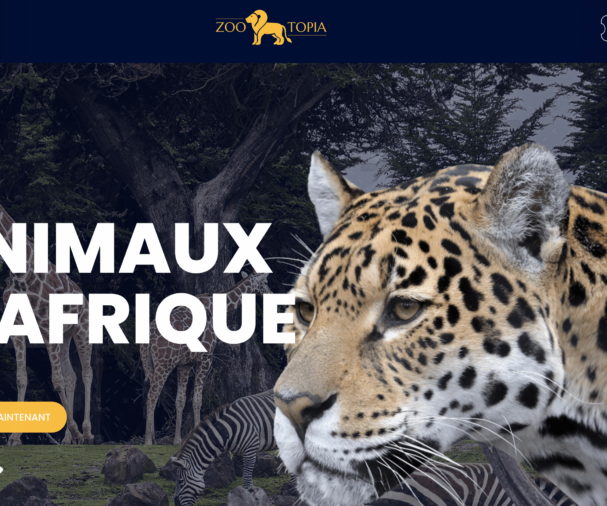 Capture d’écran 2021-04-16 à 13.52.25